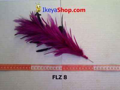 FLZ 8  large2